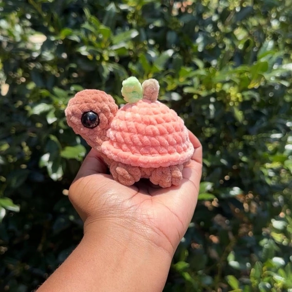 peach turtle ★