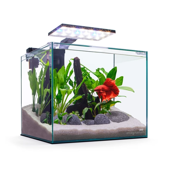 Imagitarium Glass Betta Aquarium Kit, 5 Gallons