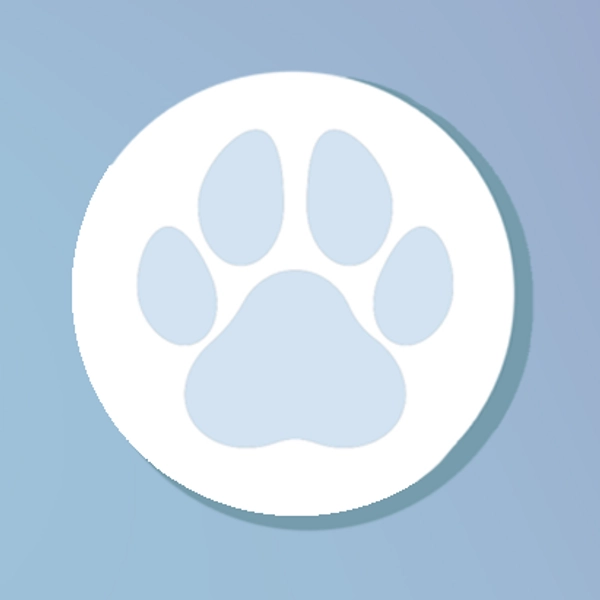 Mute Button Pacifier