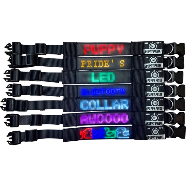 Bluetooth LED Collars-Green