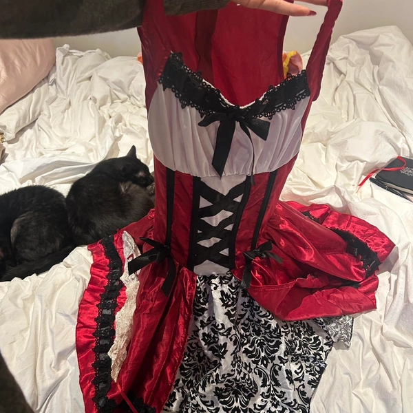 Little red riding hood dress