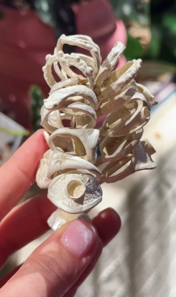 Introduction To Casting Jewelry | October 26-27