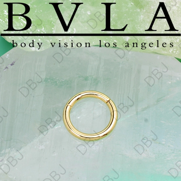 BVLA 14kt & 18kt Gold & Platinum Snap Ring Hinge Ring 16 Gauge 16g Body Vision Los Angeles [36-0000-16xx Snap Ring] : Diablo Body Jewelry - American Made, Implant Grade