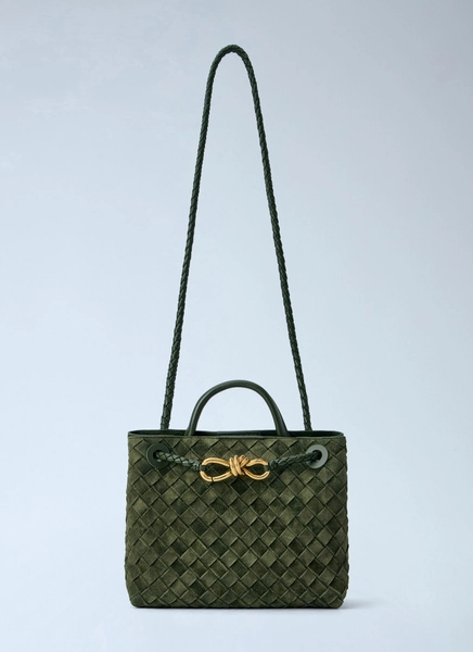 Bottega Veneta Small Andiamo Handbag - Woman Handbags Green One Size