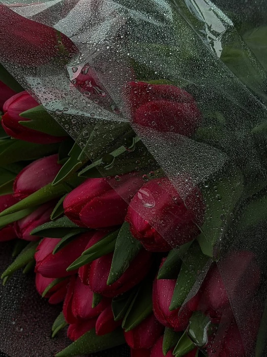 FLOWERS 🧸