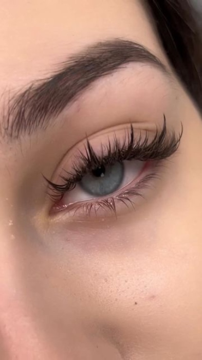 lashes