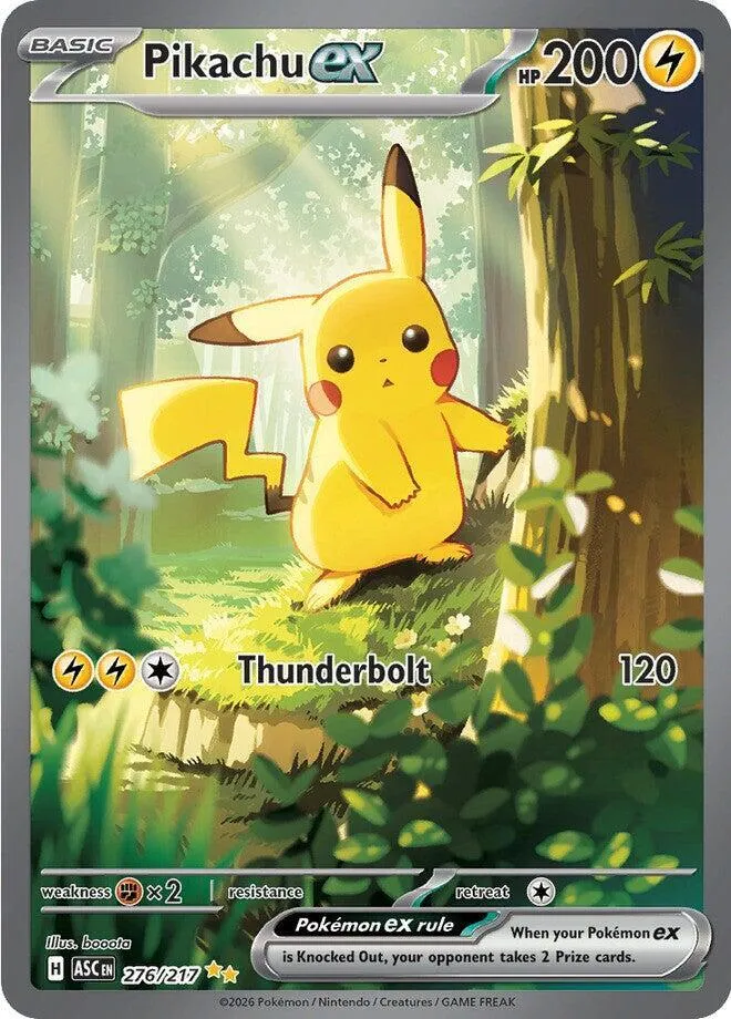 Pack Stream Fund Massive