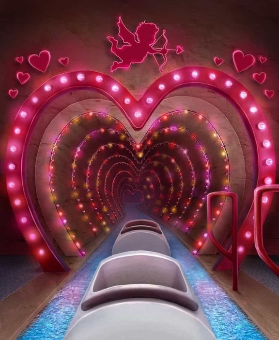 💗 Cost of Admission 💗