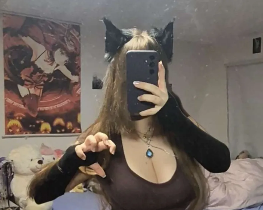 spoil the kitty ⪩ ⪨ ꠹