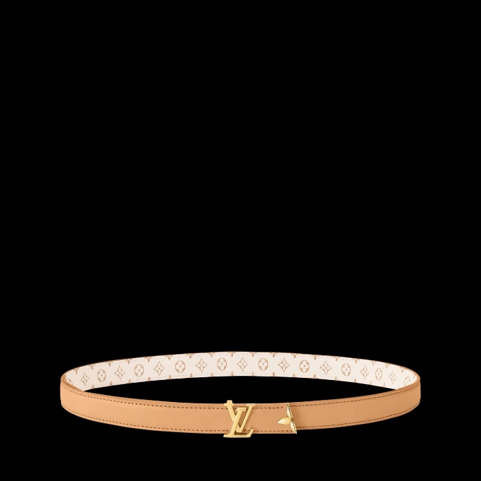 Pretty LV 20m Reversible Belt