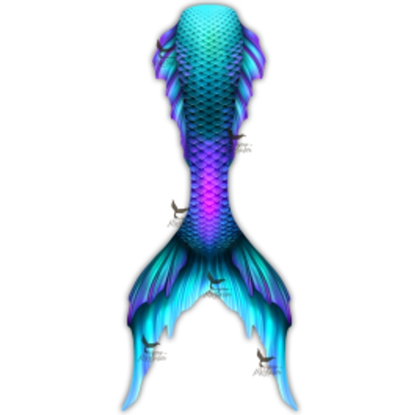 Out of the Sea Whimsy Fantasea Tail "Original" Extended by Mertailor Mermaid Tails