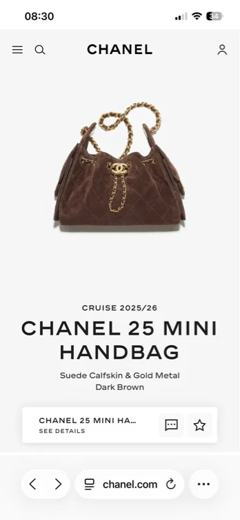 CHANEL 25 Mini Handbag