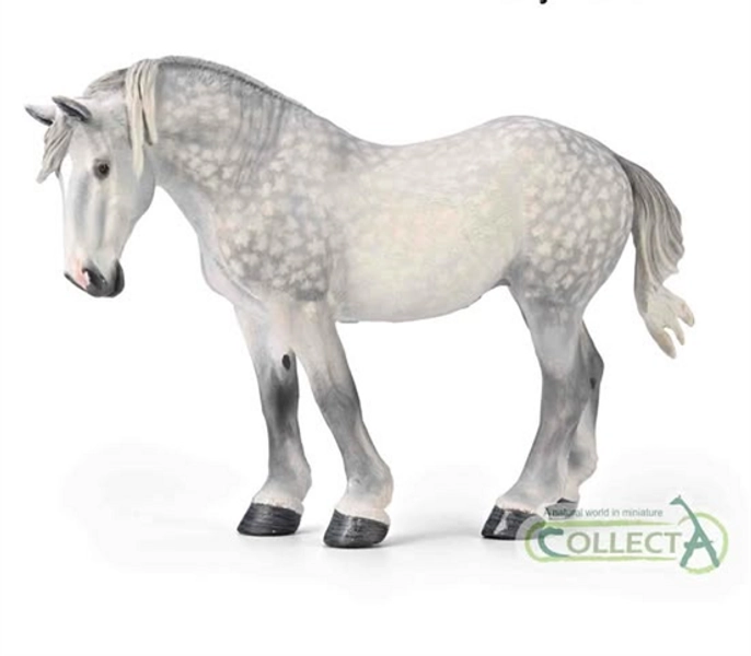 Percheron Mare Horse Toy Model Figure by CollectA Grey or Dappled Grey NEW