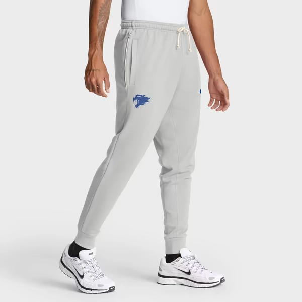 Kentucky Wildcats Nike Sideline Standard Issue Dri-FIT Taper Pants - Gray