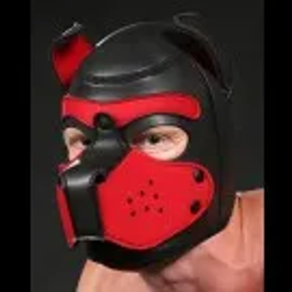 Neoprene Puppy Hood - 16 Colors