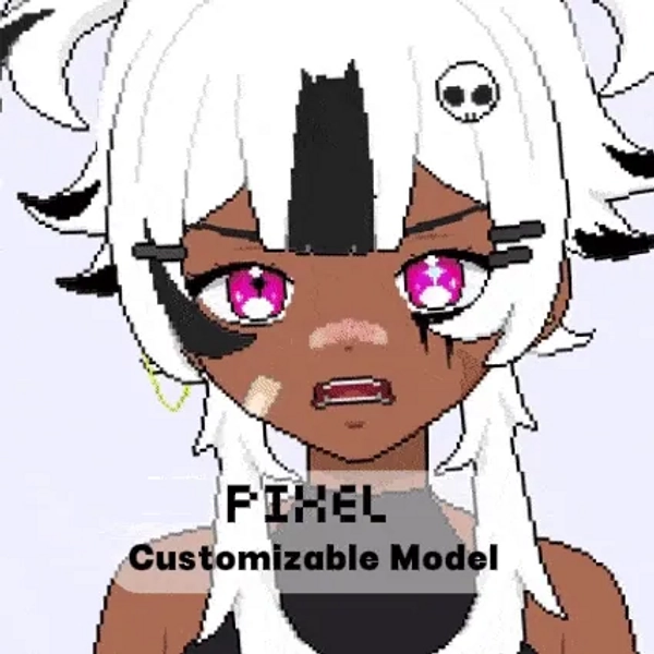 PİXEL MODEL