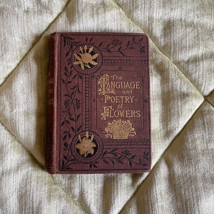 a new book