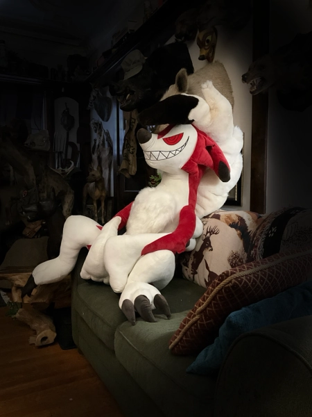 MOON MUTT PRE-ORDER — DominoTwist