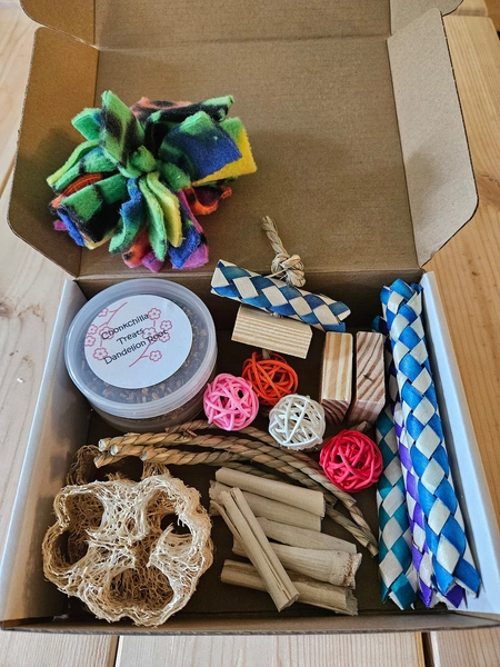 Chinchilla Chew Toy Box - Etsy Canada