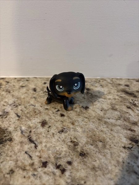 Hasbro Littlest Pet Shop Authentic Black Dachshund Dog Blue Eyes #325