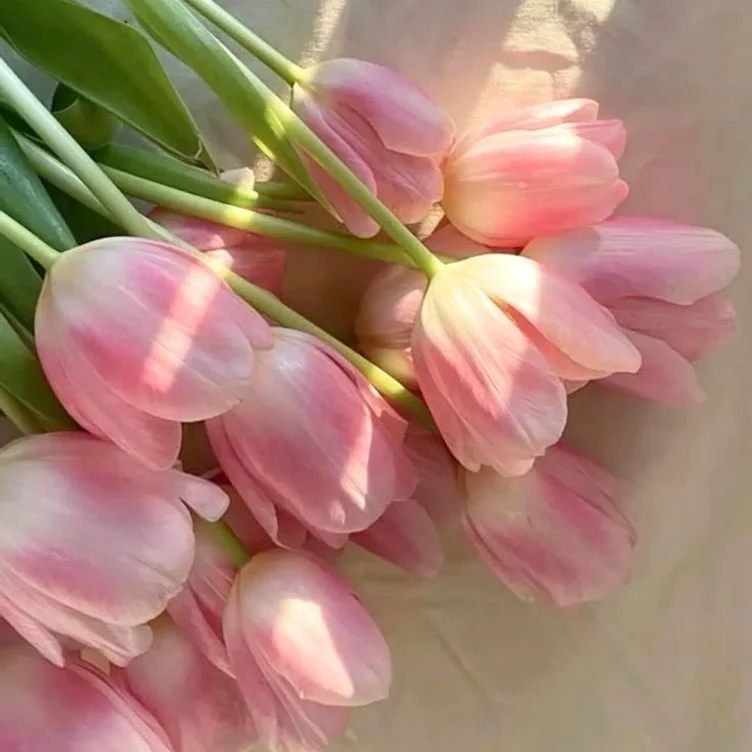 flowers 💐 