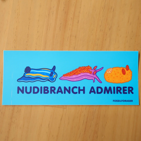 Nudibranch Admirer BUMPER Sticker