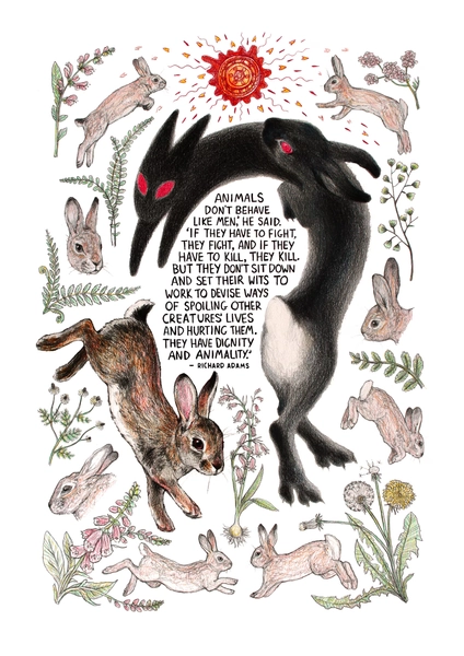 Black Rabbit - Watership Down (signed art print)