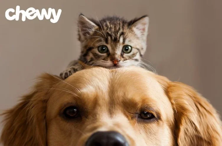 Chewy Gift Card 