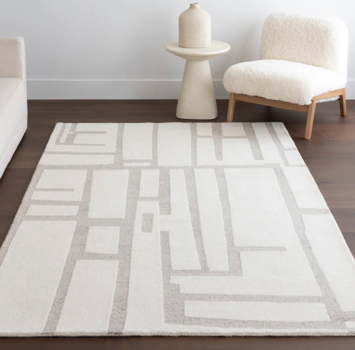 Living Room Rug 🤍