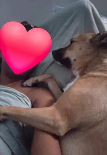 Cozy Goodies $50 Gift Card