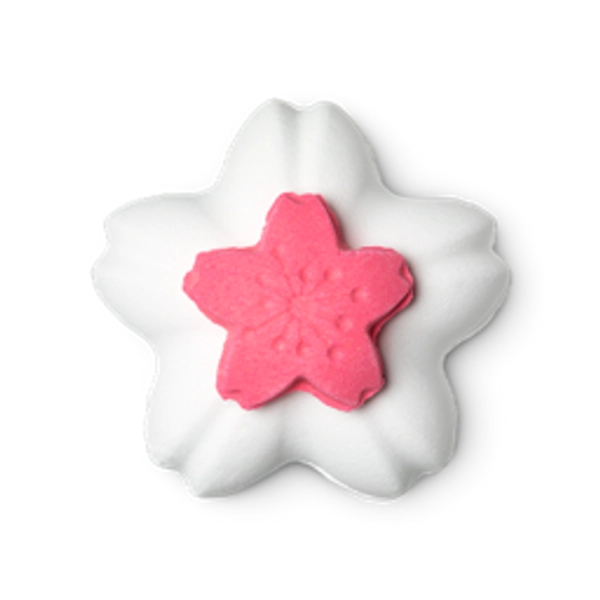 Blooming Cherry Blossoms