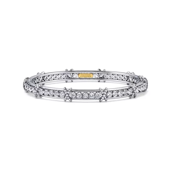 Sixteen Stone by Tiffany Bangle in Platinum with Diamonds