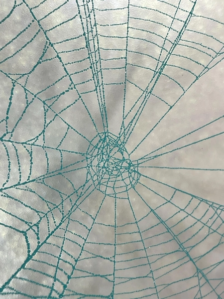 REAL Preserved Spiderweb, Turquoise Pearl, Framed Natural Specimen - Etsy