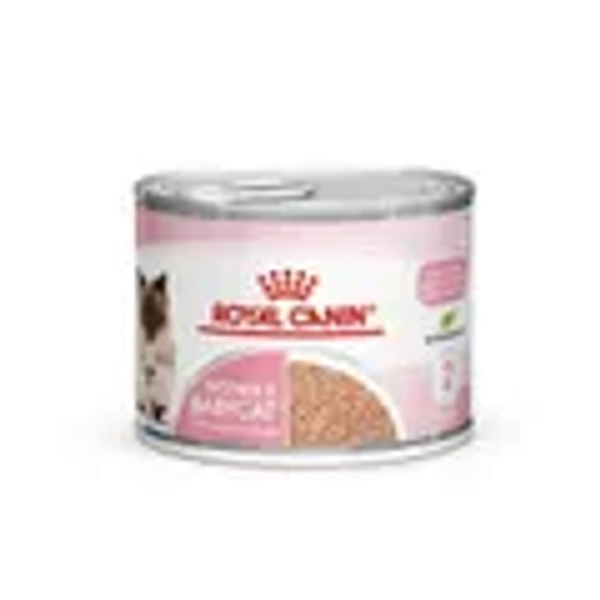 Royal Canin Babycat Instinctive Cat Food 195g x12