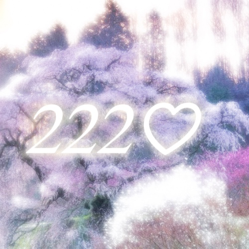 angel numbers: 222