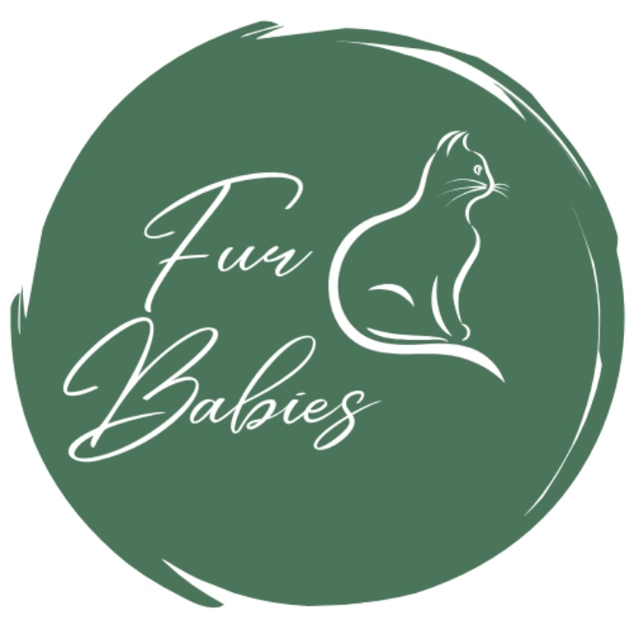 Grandpa Kitty's Arthritis Meds