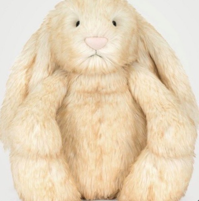 Jellycat Bunny 🐰 