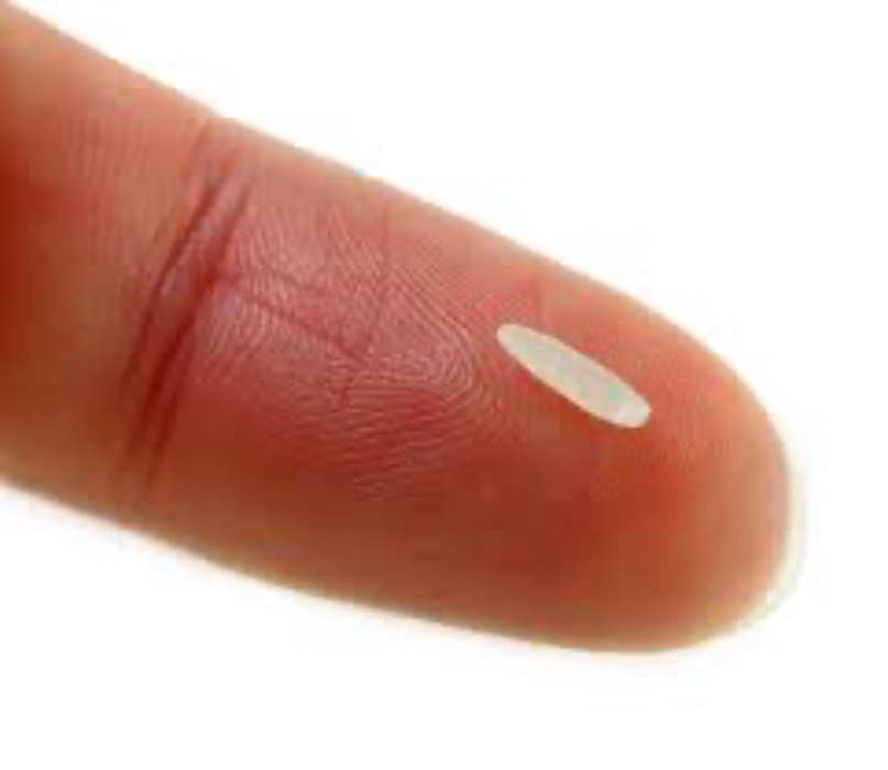 Single grain of rice $500