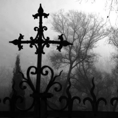 infinity nikki pulls/dreamlight moonstones