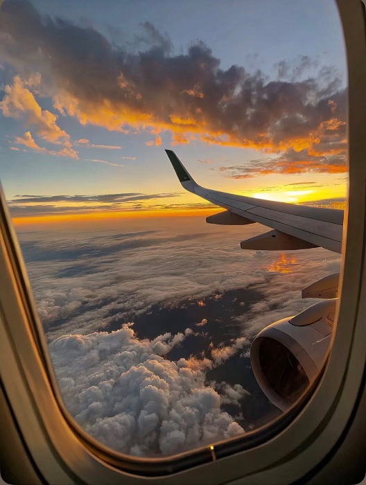 Flights ✈️
