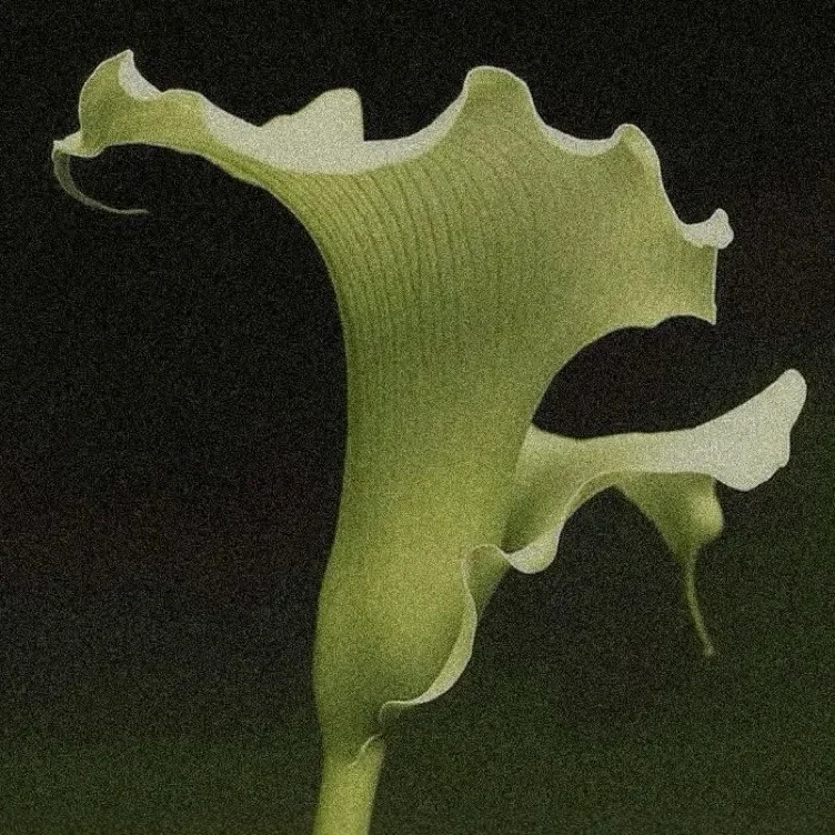 one million plants 