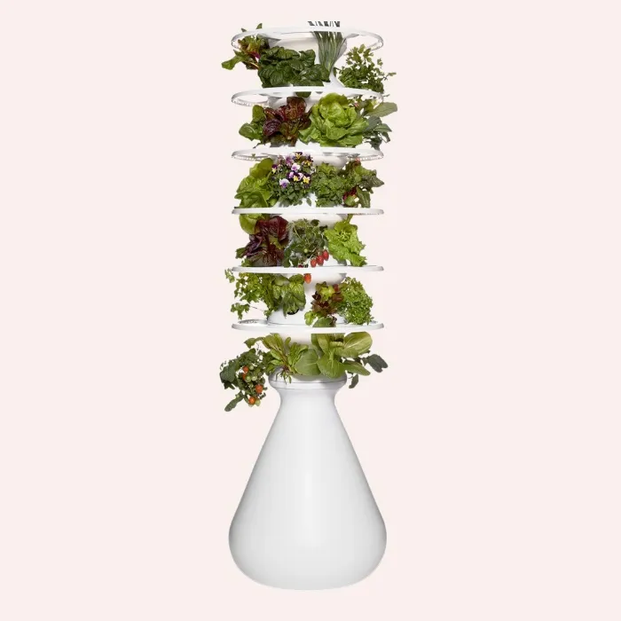 Lettuce Grow Farmstand Starter Kit with Glow Rings and 36 Seedling Credits | Large Hydroponic Growing System Kit | Vertical Garden Planter Tower | 6ft 7in Tall - Large - Indoor With Seedlings