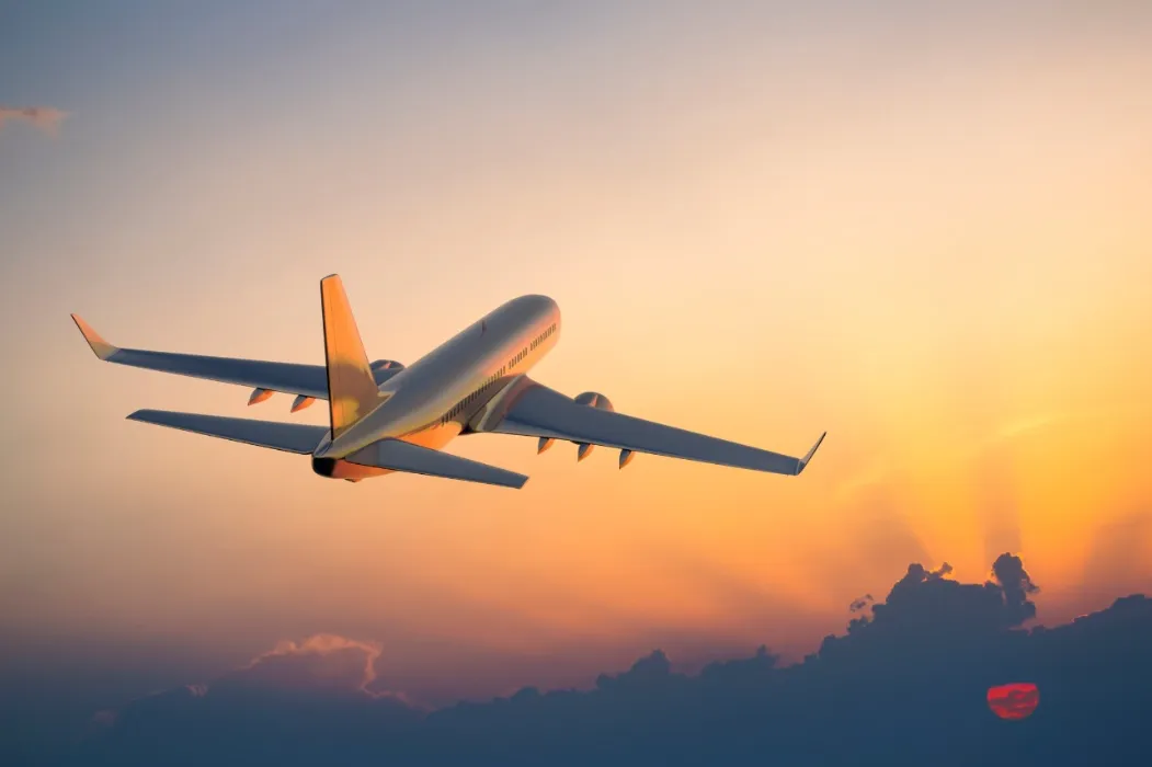 Plane Ticket