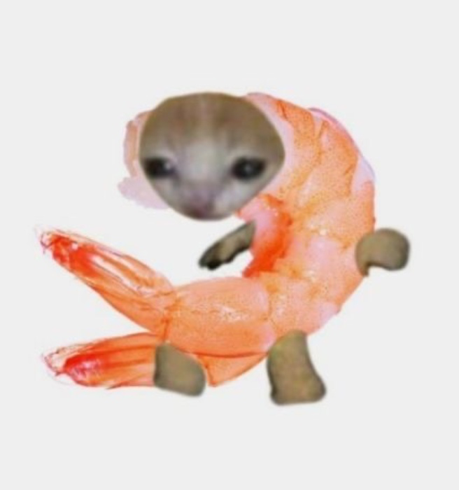 Shrimp