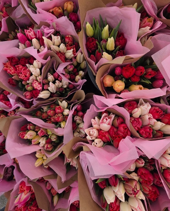 Flowers  🌷 