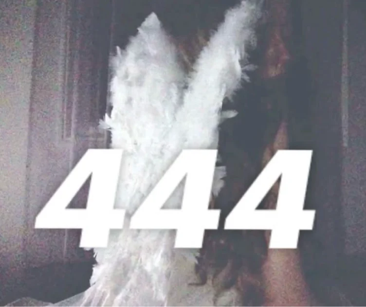𝟒𝟒𝟒 