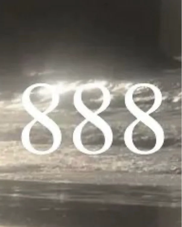 𝟖𝟖𝟖 