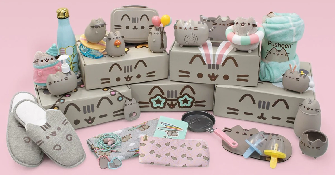 1 Year Pusheen Cat Sub