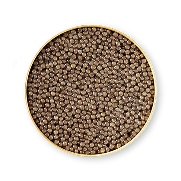 Imperial Beluga | Kaviar bei Imperial Caviar bestellen