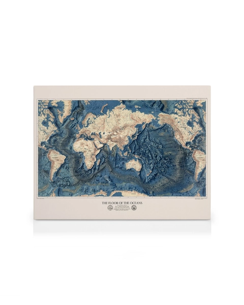 The Floor of the Oceans Canvas 20" x 28" in